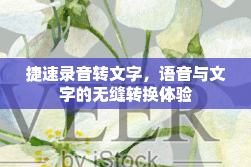 语音与文字的无缝转换体验图片