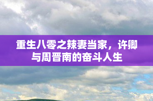 许卿与周晋南的奋斗人生图片