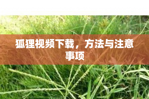 方法与注意事项图片