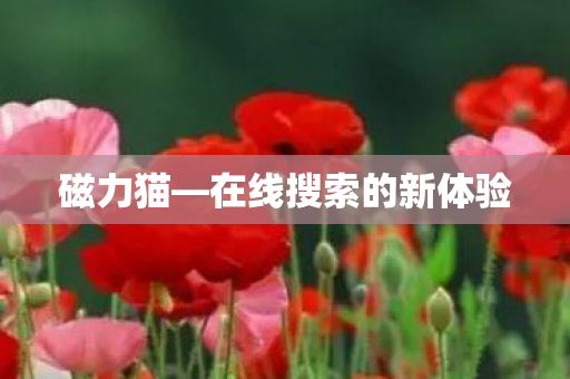 在线搜索的新体验图片