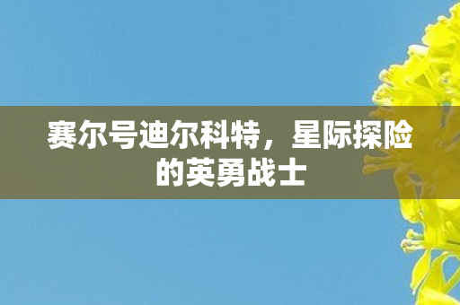 星际探险的英勇战士图片