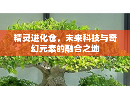 未来科技与奇幻元素的融合之地图片