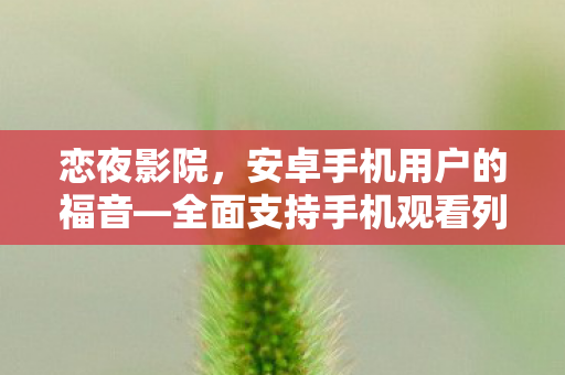 全面支持手机观看列表图片