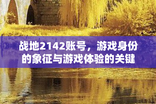 游戏身份的象征与游戏体验的关键图片