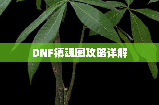 DNF镇魂图攻略详解图片