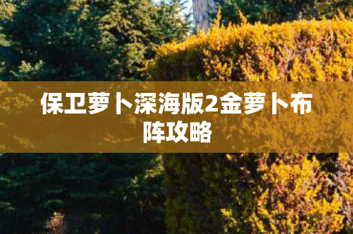 保卫萝卜深海版2金萝卜布阵攻略图片