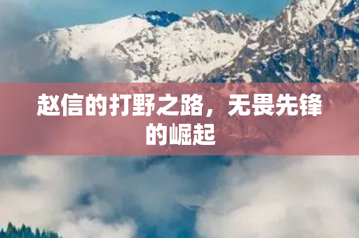 赵信的打野之路图片