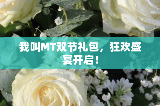 我叫MT双节礼包图片