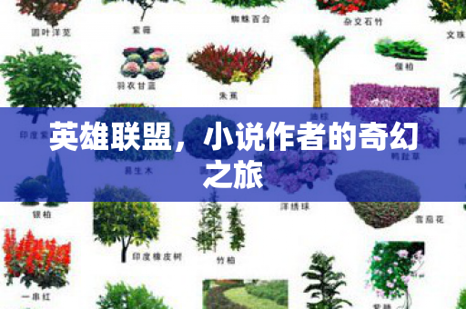 小说作者的奇幻之旅图片