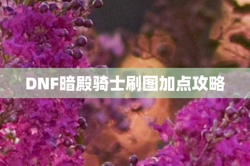 DNF暗殿骑士刷图加点攻略图片