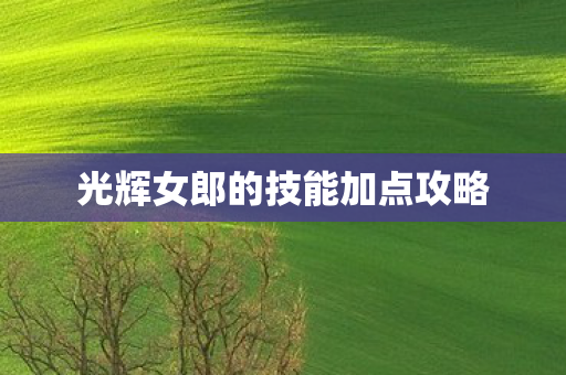 光辉女郎的技能加点攻略图片