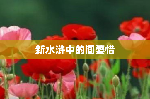 新水浒中的阎婆惜图片