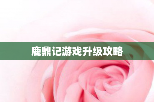 鹿鼎记游戏升级攻略图片