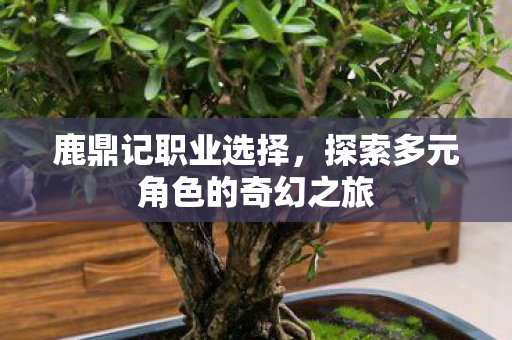 探索多元角色的奇幻之旅图片