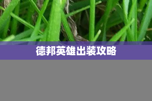 德邦英雄出装攻略图片