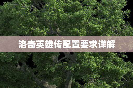 洛奇英雄传配置要求详解图片