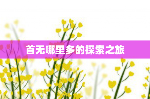 首无哪里多的探索之旅图片