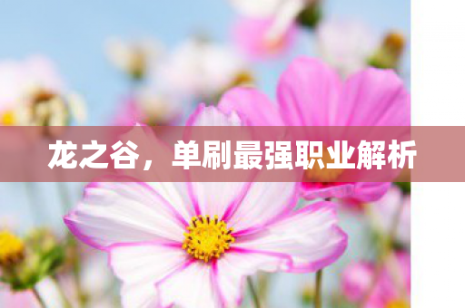 单刷最强职业解析图片