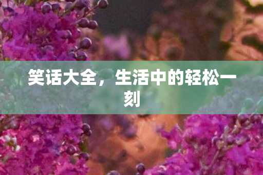 生活中的轻松一刻图片