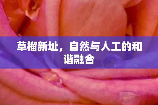 自然与人工的和谐融合图片