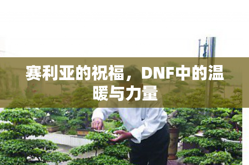 DNF中的温暖与力量图片