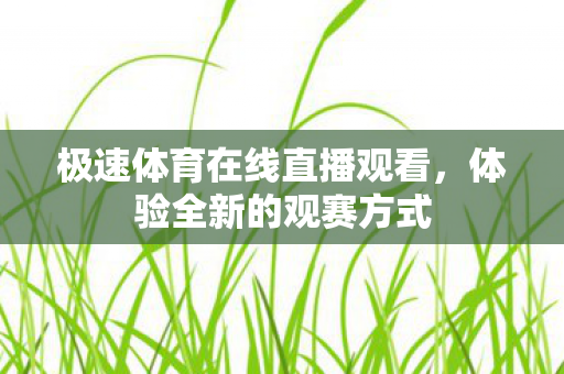 极速体育在线直播观看图片