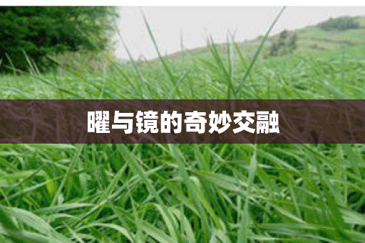 曜与镜的奇妙交融图片