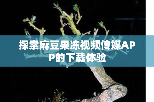 探索麻豆果冻视频传媒APP的下载体验图片