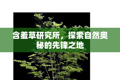 探索自然奥秘的先锋之地图片
