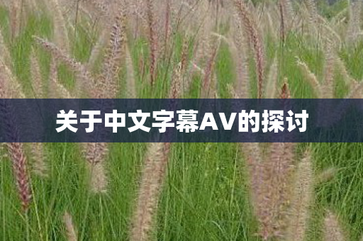 关于中文字幕AV的探讨图片