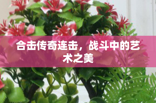 战斗中的艺术之美图片