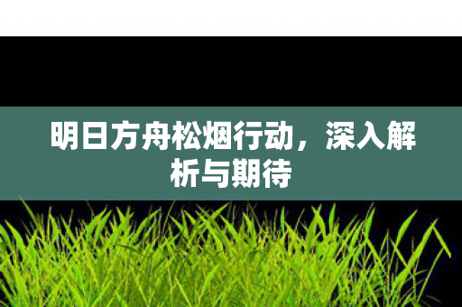 明日方舟松烟行动图片