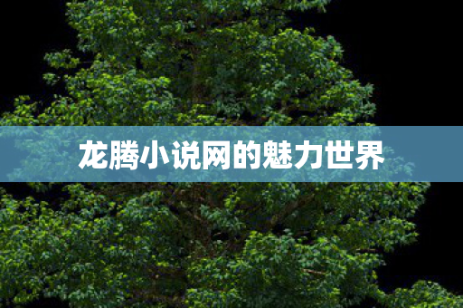 龙腾小说网的魅力世界图片
