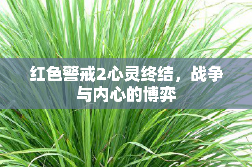 红色警戒2心灵终结图片