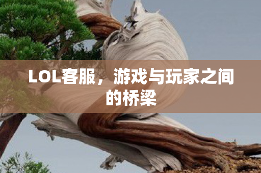 游戏与玩家之间的桥梁图片