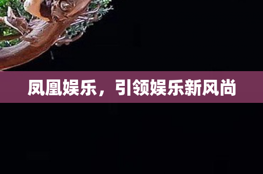 引领娱乐新风尚图片