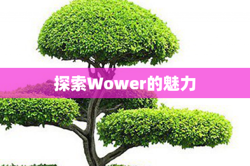 探索Wower的魅力图片
