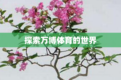探索万博体育的世界图片