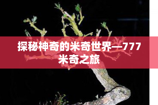 探秘神奇的米奇世界图片