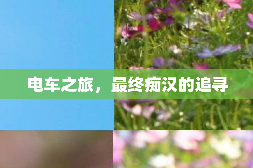 最终痴汉的追寻图片