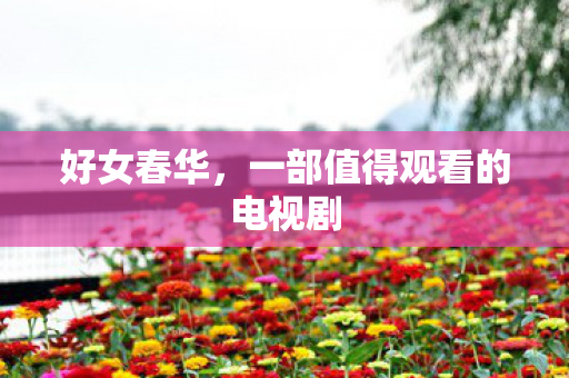一部值得观看的电视剧图片