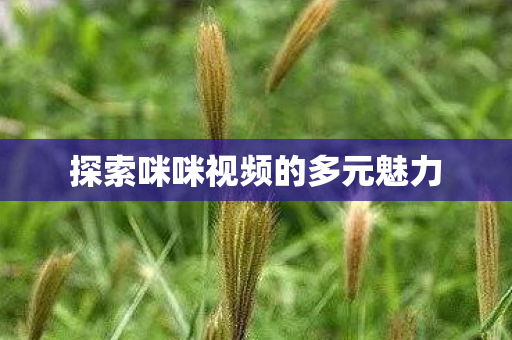 探索咪咪视频的多元魅力图片