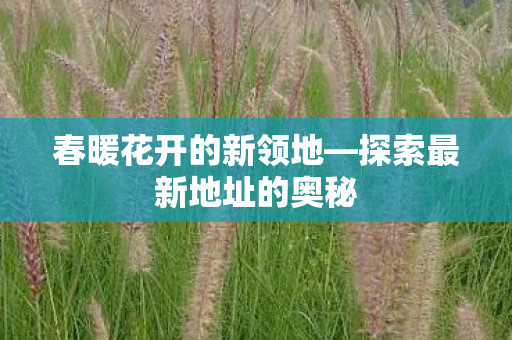 探索最新地址的奥秘图片