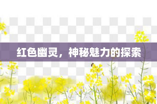 神秘魅力的探索图片