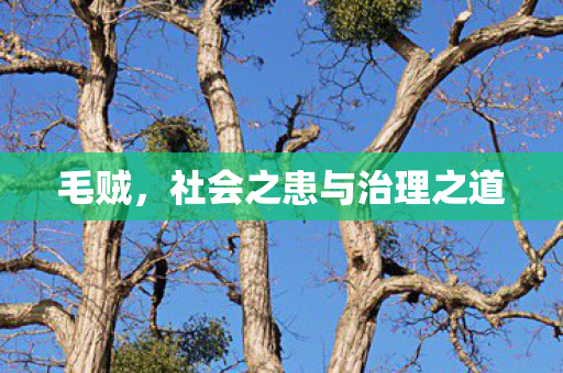 社会之患与治理之道图片