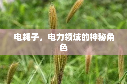电力领域的神秘角色图片