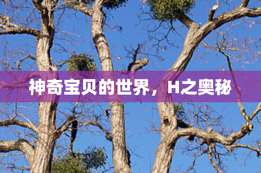 神奇宝贝的世界图片