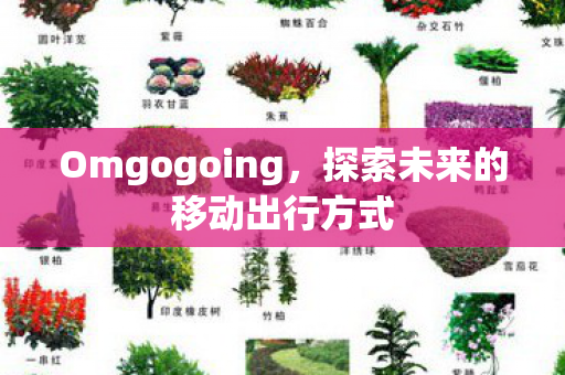探索未来的移动出行方式图片