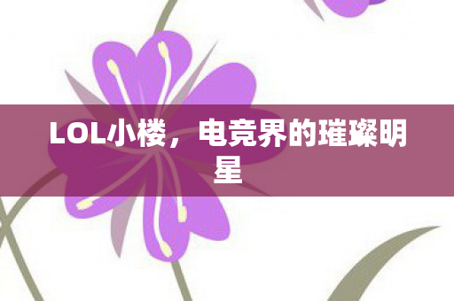 电竞界的璀璨明星图片