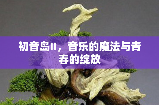 音乐的魔法与青春的绽放图片